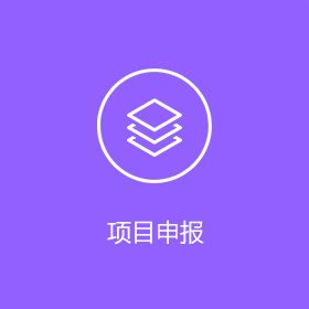 项目申报
